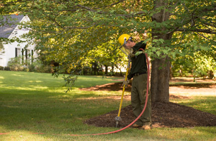 Vertical Mulching