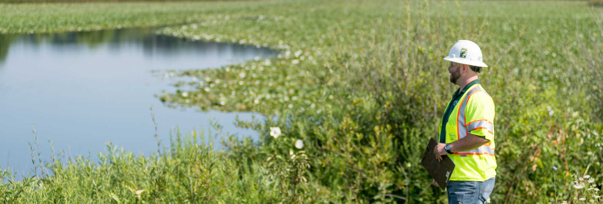 Mitigation Wetlands